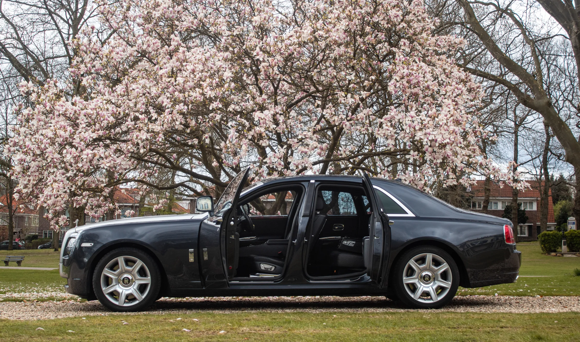 Rolls-Royce Ghost met geopende portieren onder de bloesem